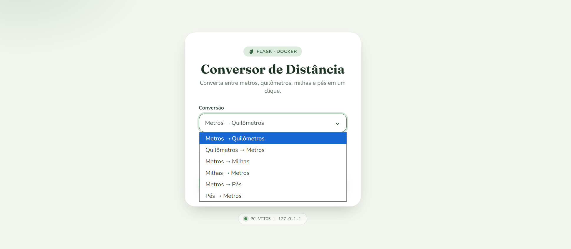 Execução com docker run